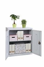 Шкаф архивный ШХА/2-850(40)